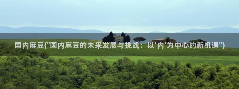 麻豆精品：国内麻豆(\