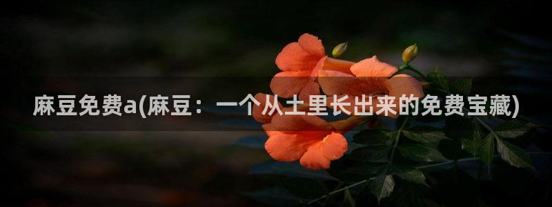 麻豆专区：麻豆免费a(麻豆：一个从土里长出来的免费宝藏)