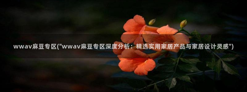 一级专区麻豆专区三级：wwav麻豆专区(\