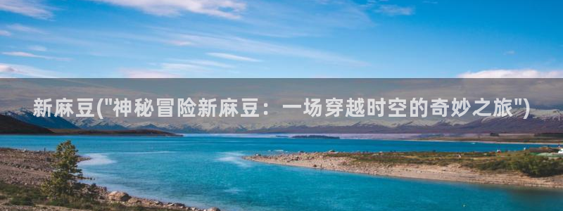 麻豆 专区：新麻豆(\