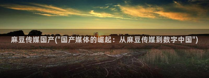 麻豆全集：麻豆传媒国产(\