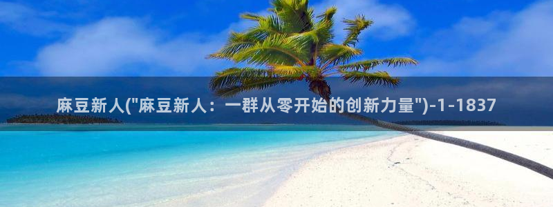 91麻豆国产专区：麻豆新人(\