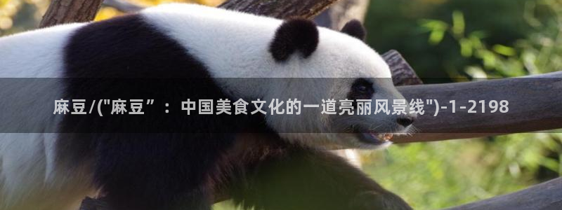 wwav麻豆专区：麻豆/(\