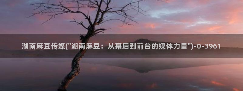 麻豆专区一：湖南麻豆传媒(\