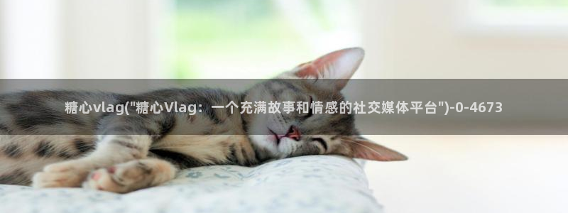 糖必vlog