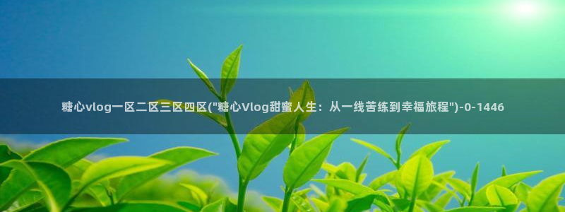 免费糖心vlog下载