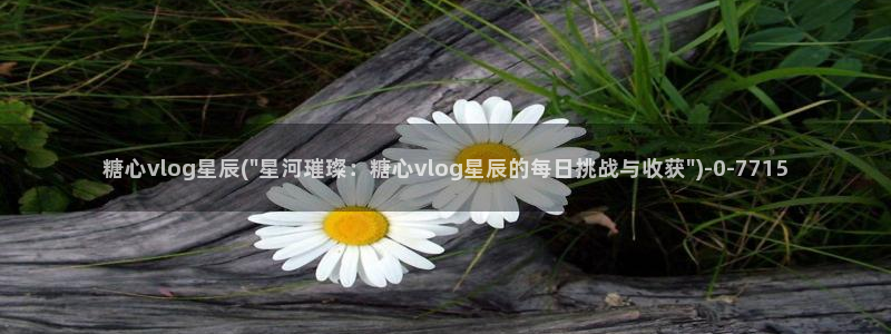糖心vlog app