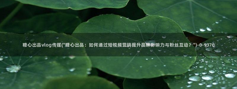 糖心vlog工作室