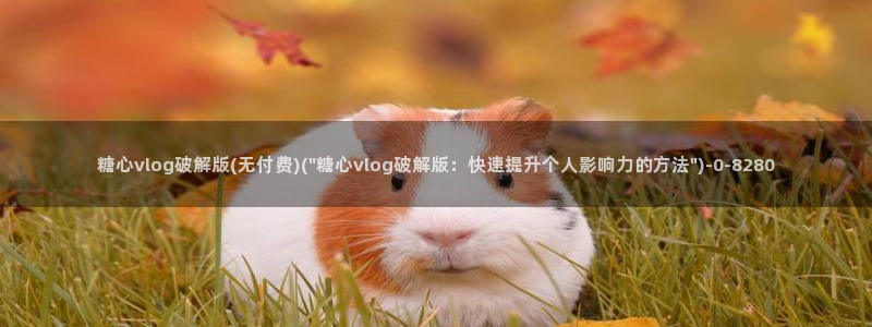 糖心vlog官网入口