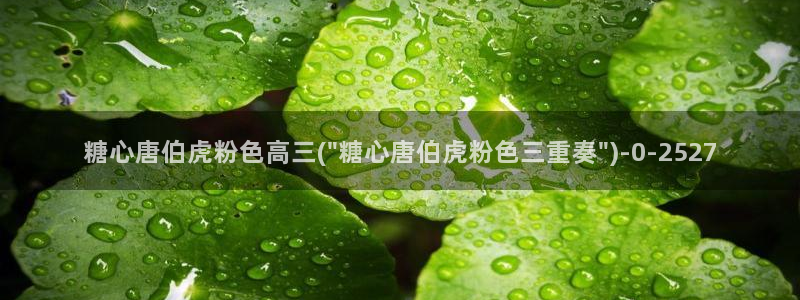 糖心vlog精品一区二区三区