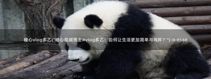 糖心vlog视频app