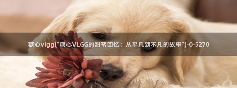 糖心vlog破