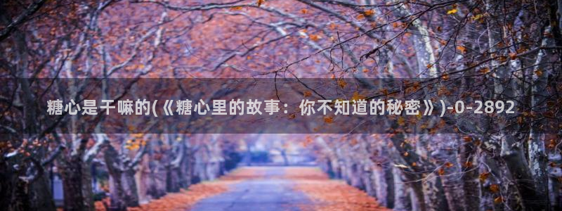 糖心vlog许木学长