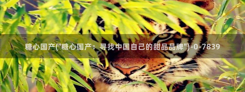 糖的vlog