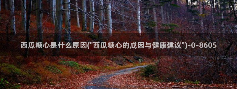 糖心vlog在线时间