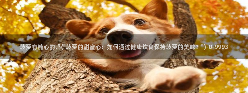 糖心vlog新官网入口