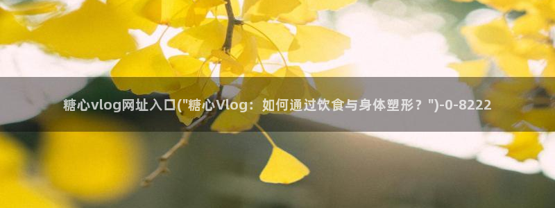 糖心vlog 免费观看