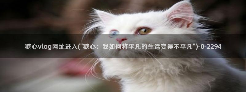 糖心vlog官网入