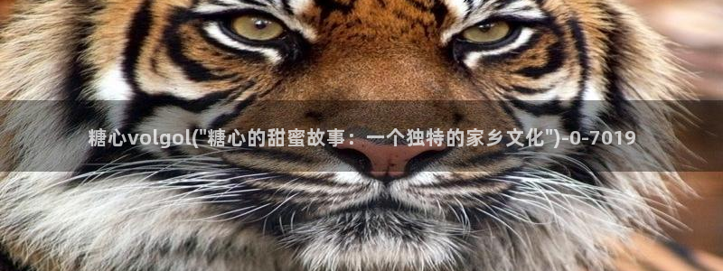 糖心vlog饼干
