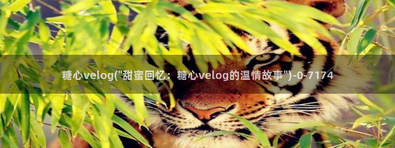 糖心vlog在哪里看