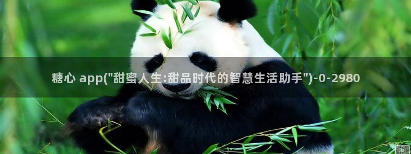 糖心vlog视频破解版